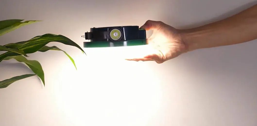 Portable Light