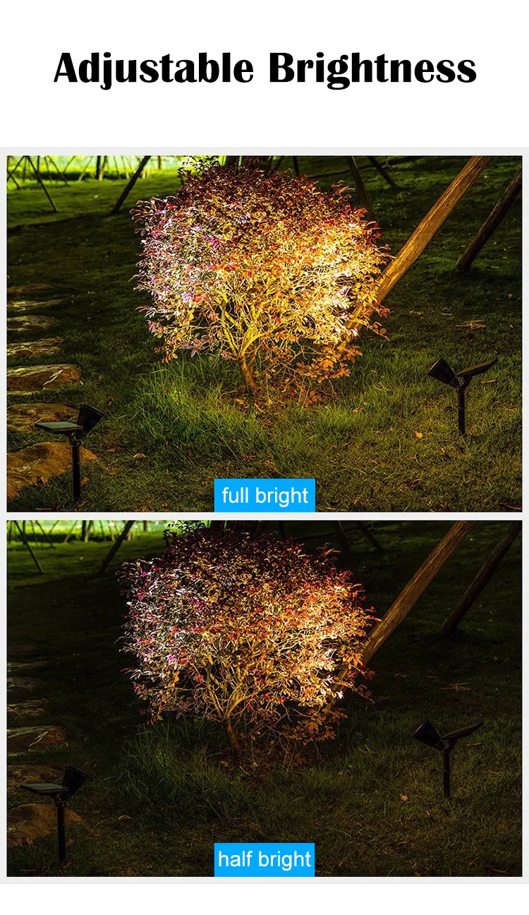 Solar Light Detail 2