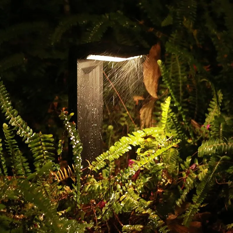 Solar Light Night View