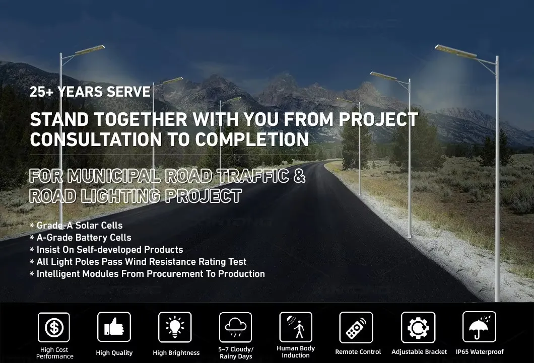 Solar Powered LED Street Light