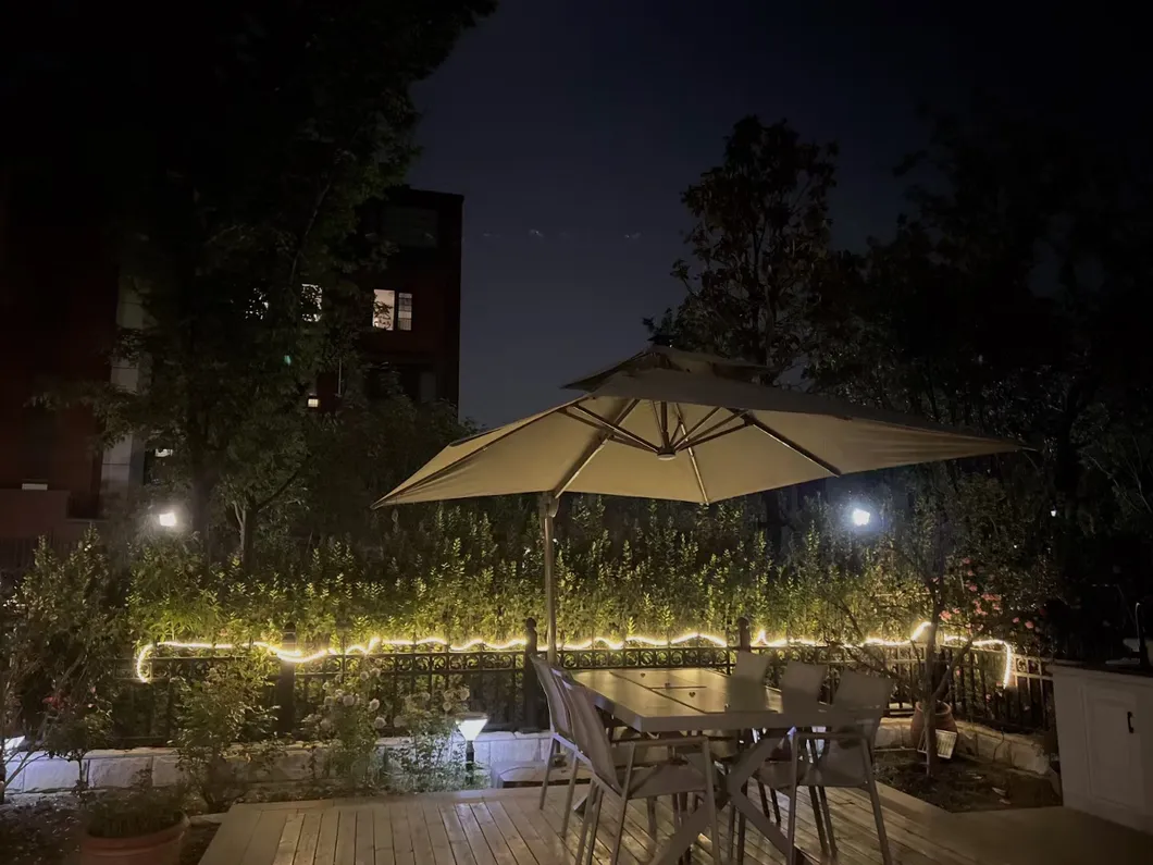 Solar Decorative Outdoor Lights