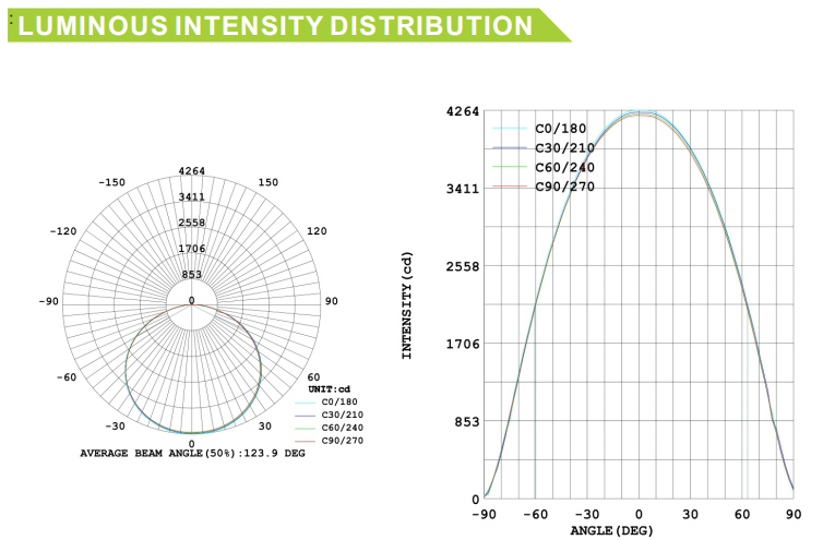 Outdoor LED Lighting