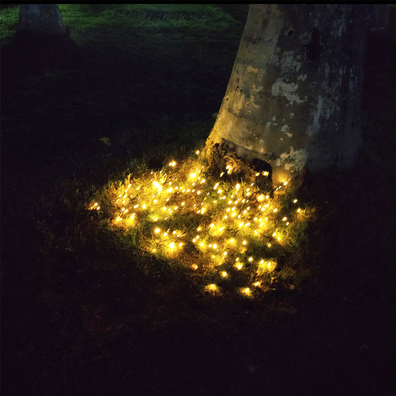 Lights for Garden Light Tube String LED Bulb Solar Light