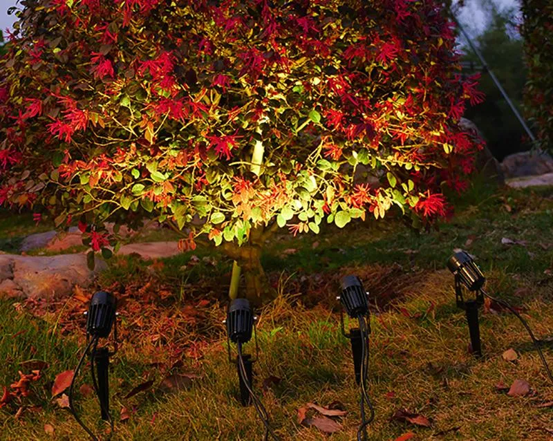 Solar Powered Spotlight 3