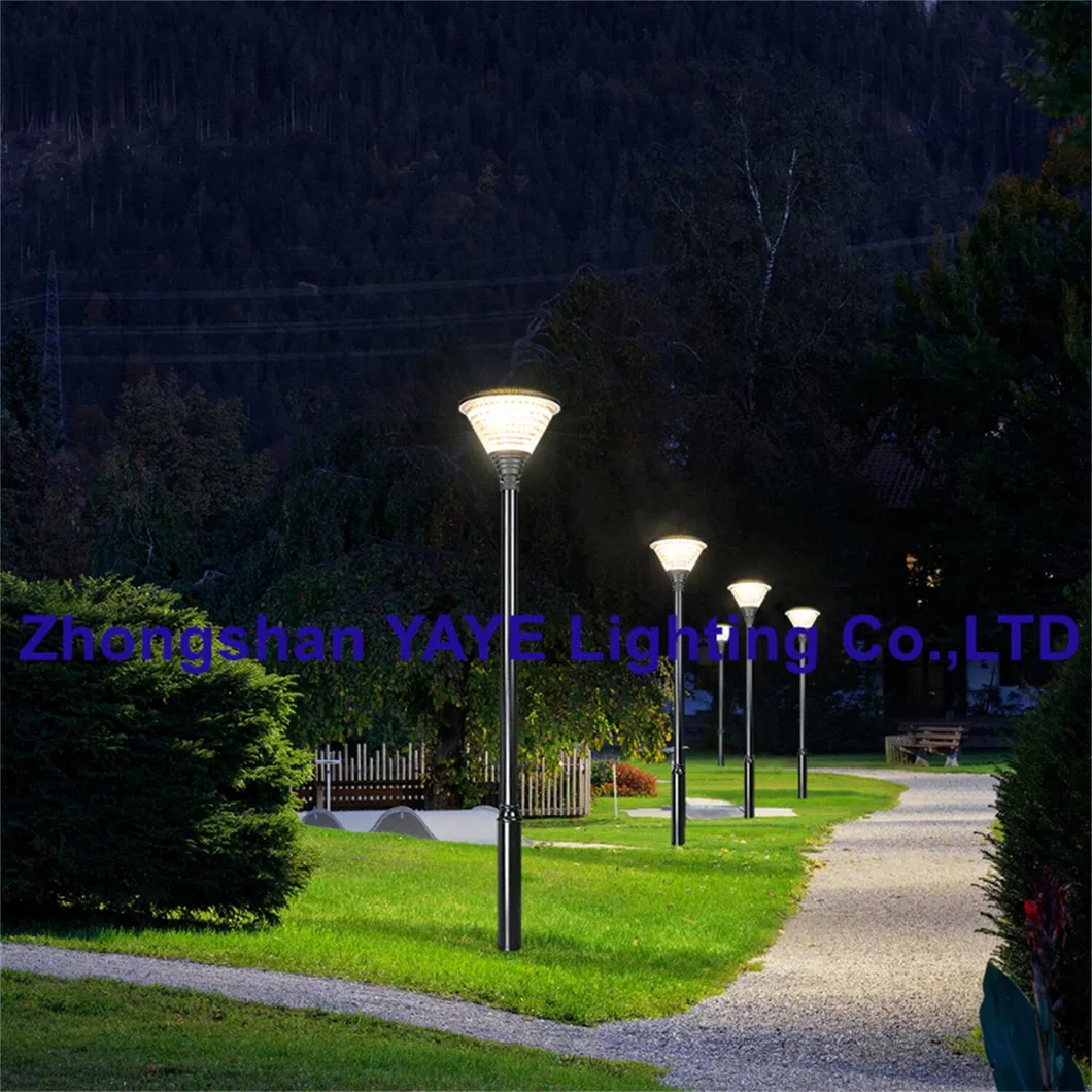 Solar LED Lighting