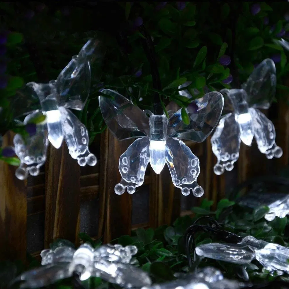 Solar String Detail 6