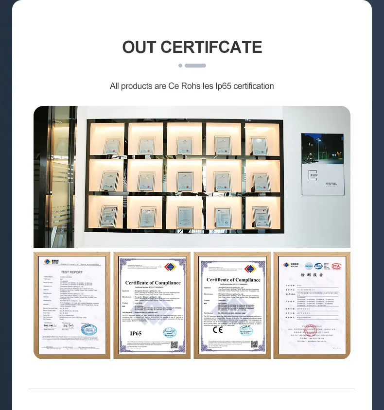 Solar Powered LED Landscape Lighting 7