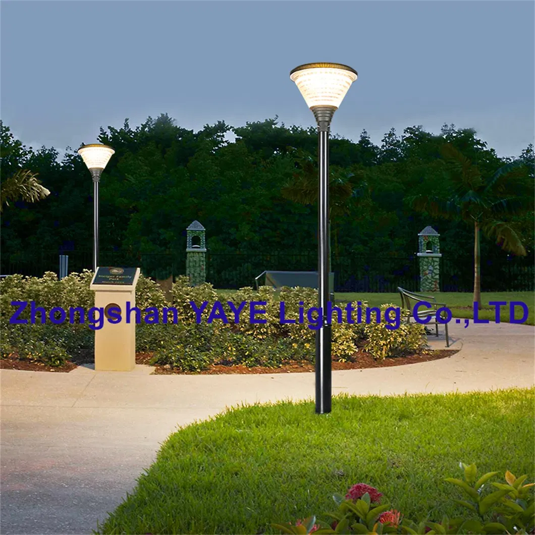 Solar LED Lighting