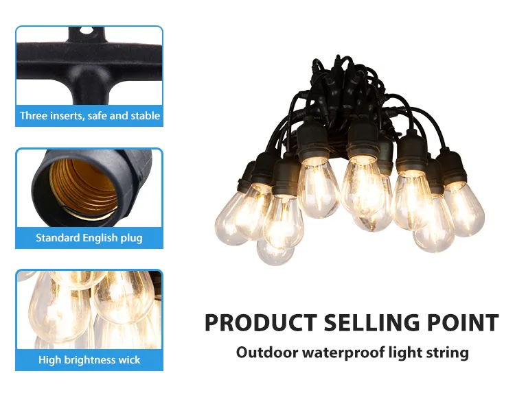 Solar String Light Display 2