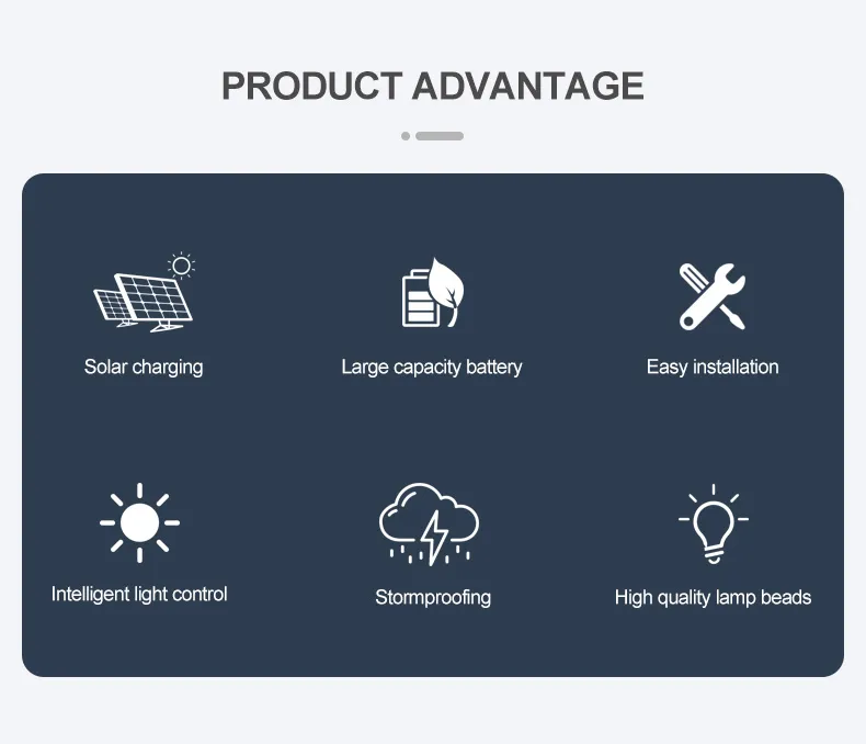 Solar Powered LED Landscape Lighting 2