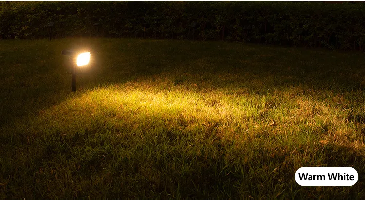Warm White