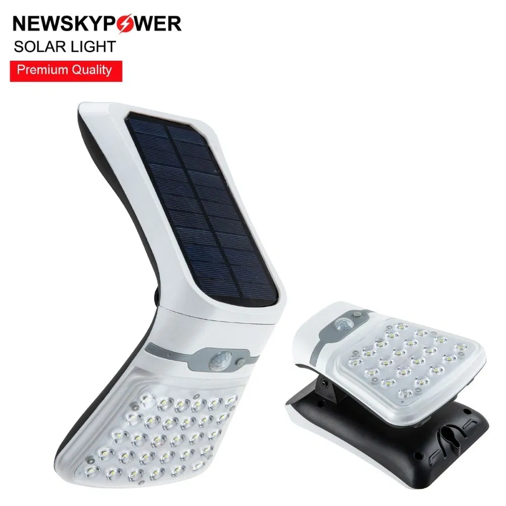 Outdoor LED Decorative Light