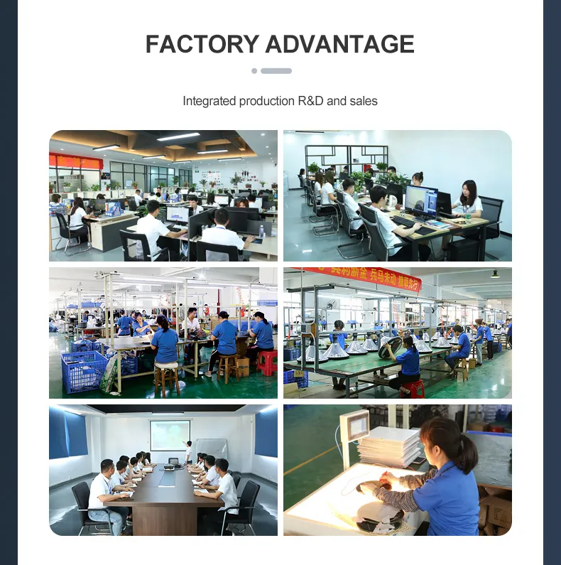 Solar Garden Light Detail