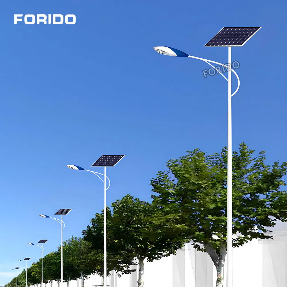 Eco-Friendly Solar LED Street Lights for Rural Areas
