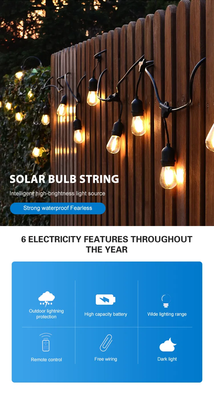Solar String Light Display 1