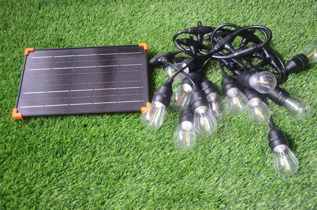 Solar Light String Detail