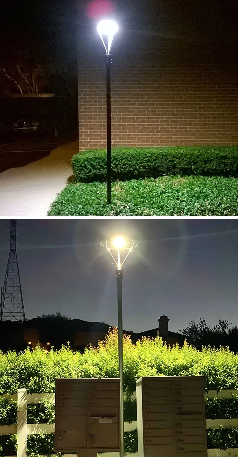 Solar Light Application Scene