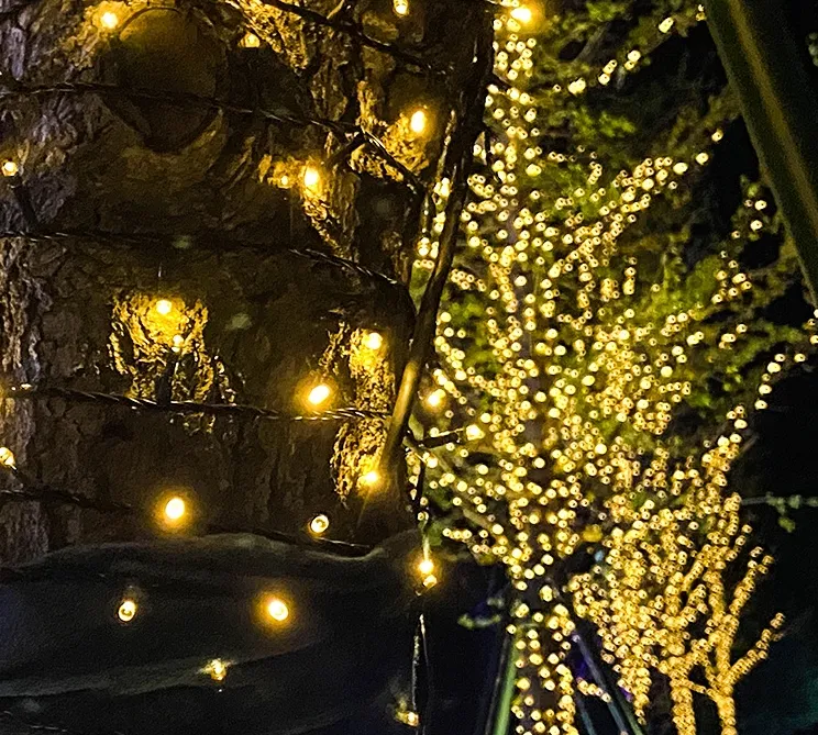 Solar Light String 1