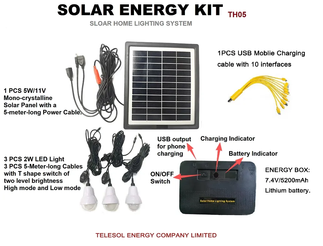 Portable Solar Home Lighting System