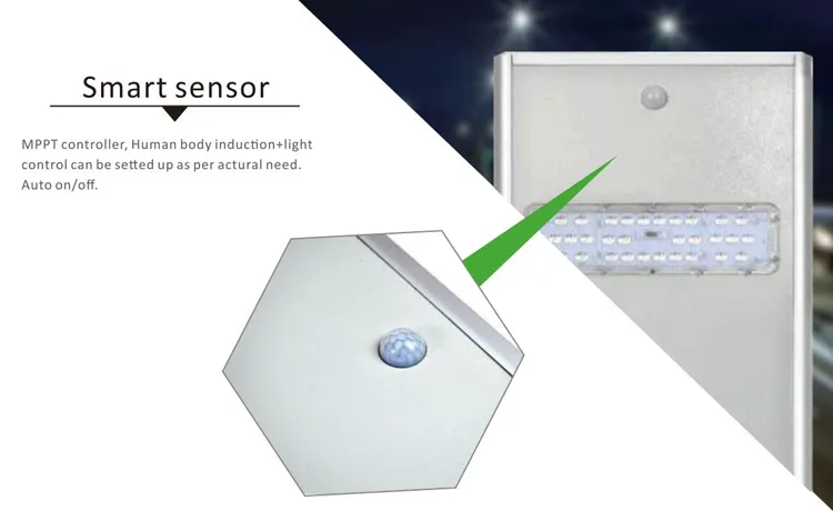 Solar Light Detail 4