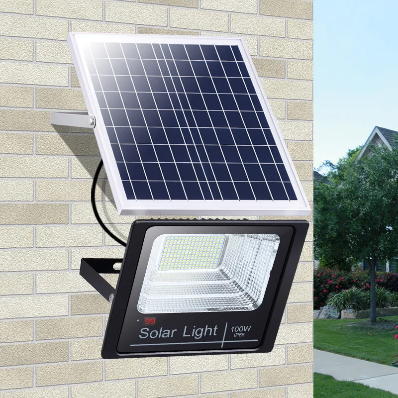 Solar Security Light