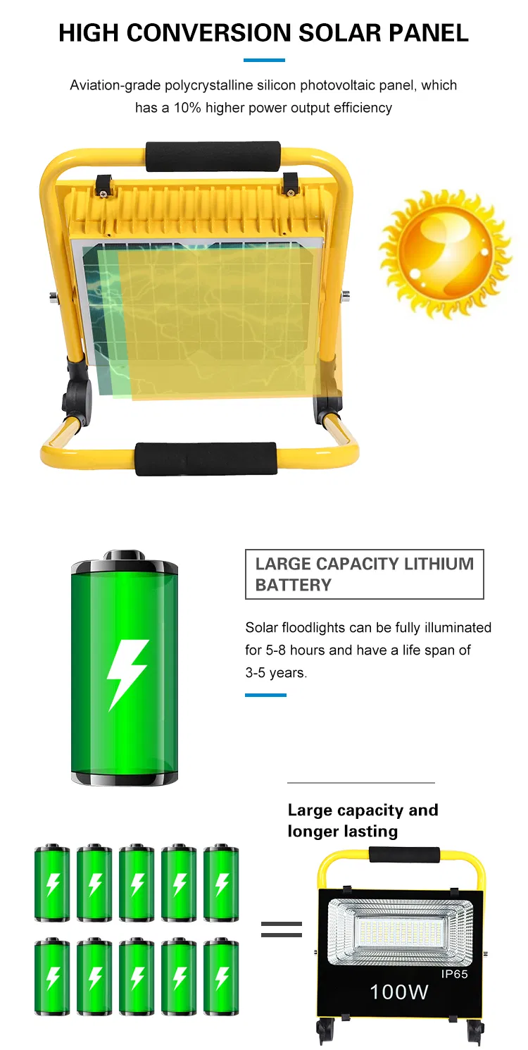Solar Flood Light Detail 3