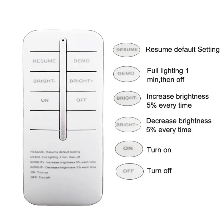 Solar Light Detail 7