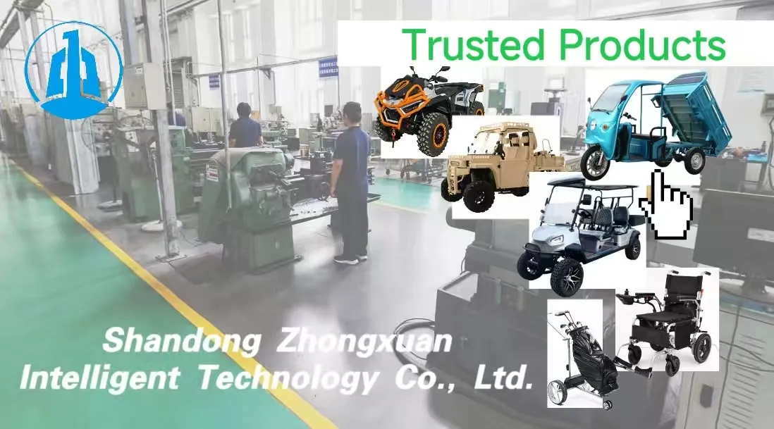 Tourist Golf Cart Overview