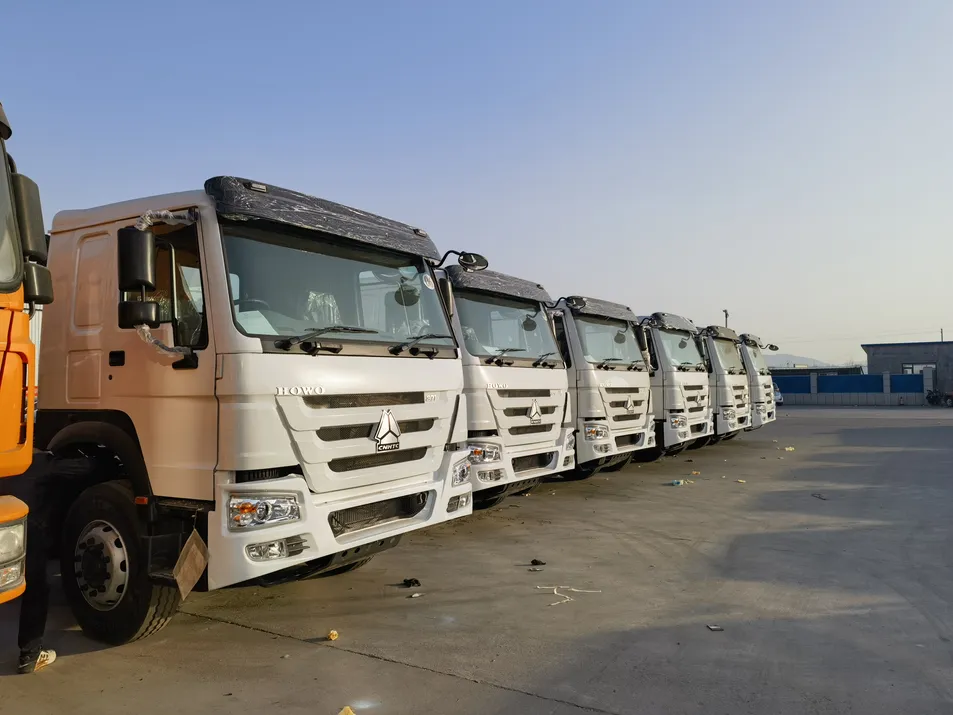Tipper Truck Rear View