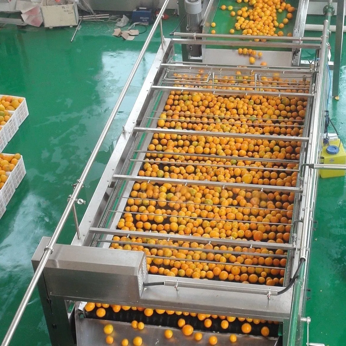 Lemon processing line Lemon juice processing equipment