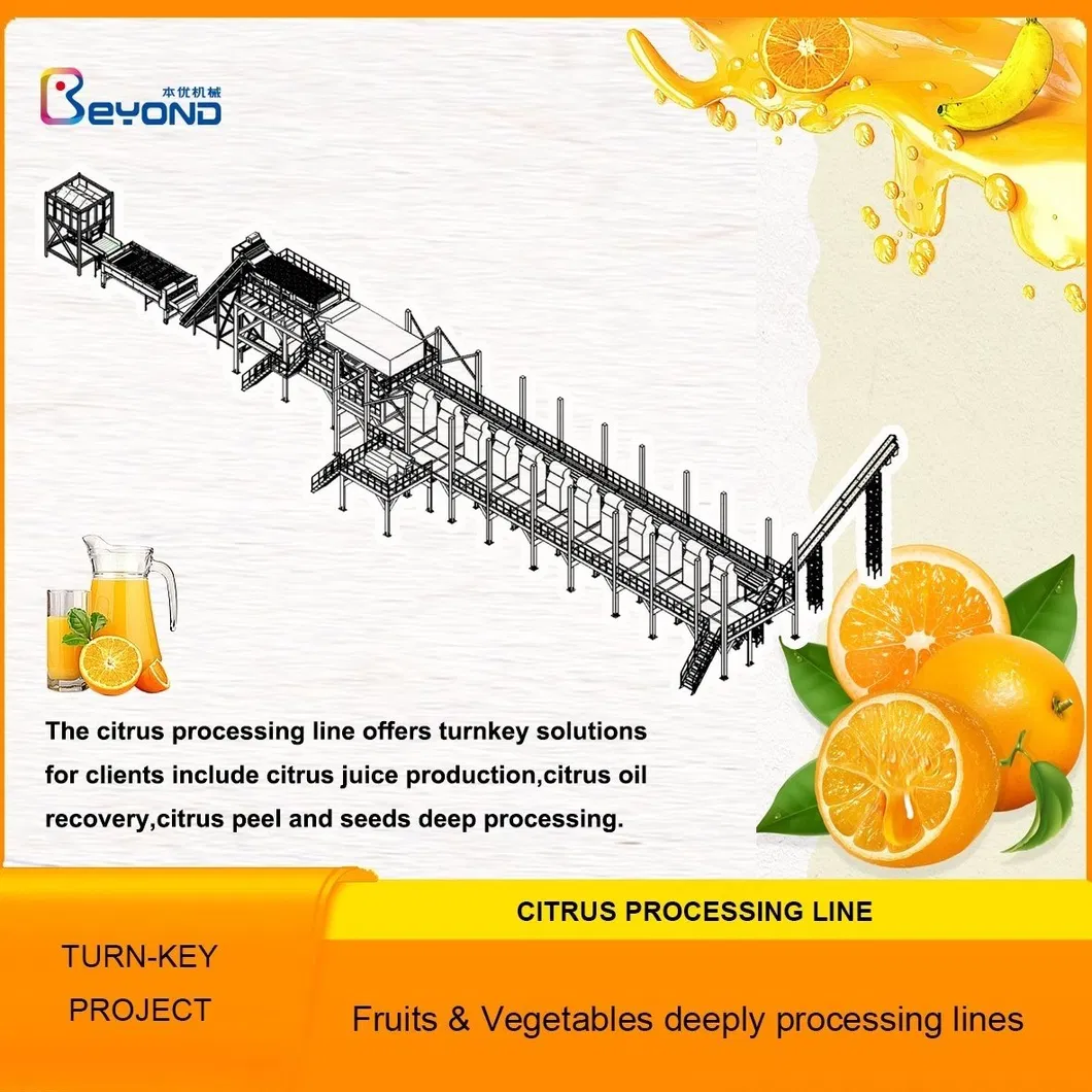 Lemon juice processing equipment