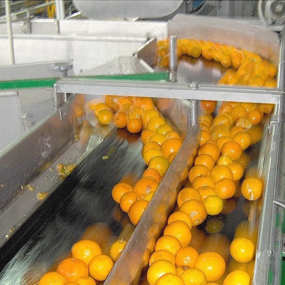 Lemon processing line Lemon juice processing equipment