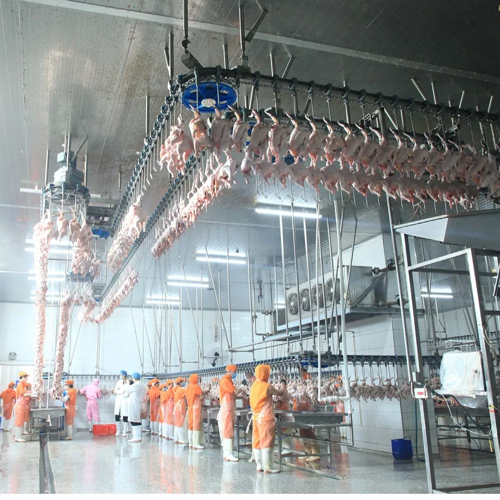 Poultry Slaughtering Equipment for Chicken Duck and Goose Slaughterhouse