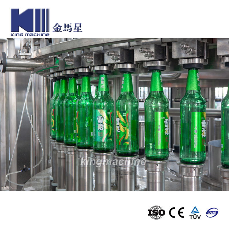 Beer Bottling Line in Pet Containers - Triblock (rinse aid, filling, capping) Plus Packer