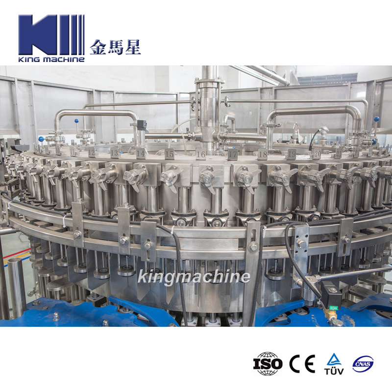 Beer Bottling Line in Pet Containers - Triblock (rinse aid, filling, capping) Plus Packer