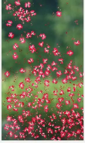 Laminated Glass with real flower