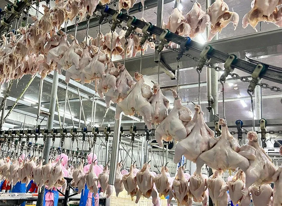 Processing Line Detail