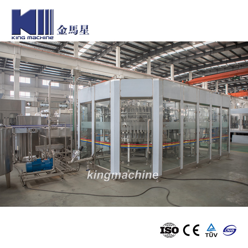 Beer Bottling Line in Pet Containers - Triblock (rinse aid, filling, capping) Plus Packer