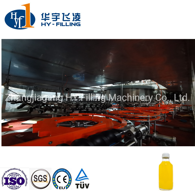 Fruit Juice Making Small Factory Productions Machine, Glass Bottle Juicer Filling Line, Sugarcane Juice Packing Machine