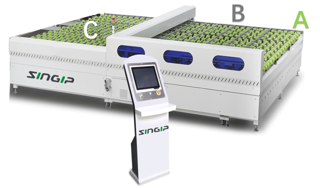 Intelligent High Speed Full Automatic Glass Double Edging Production Line