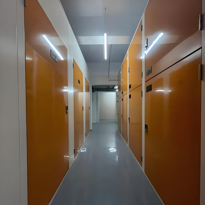 Excellent Quality Prefab Garage Storage with Big Discount on Sale