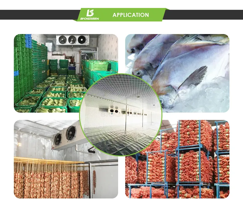 Cold Storage Detail 2