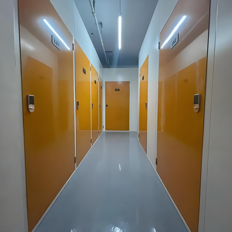 Excellent Quality Prefab Garage Storage with Big Discount on Sale