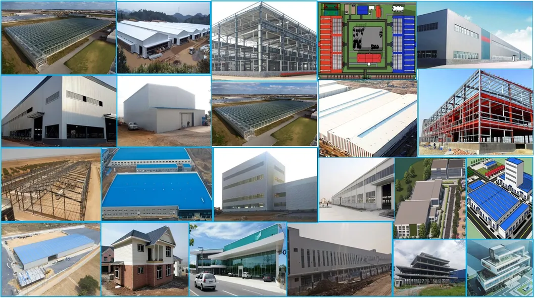 Steel Frame Building