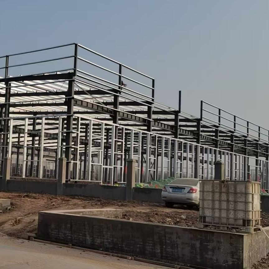 Steel Structure Frame Prefabricated Customzied Large Span High Quality Storage