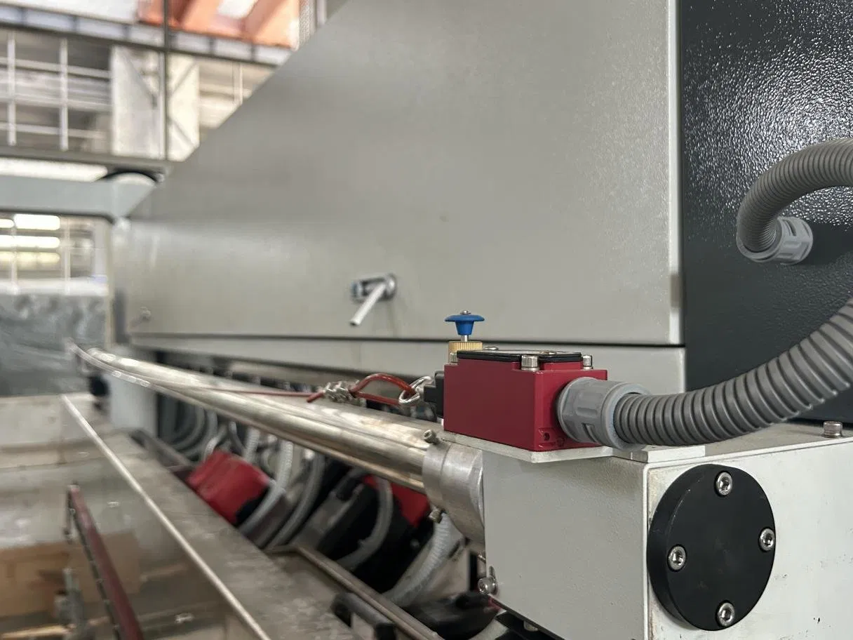 Sszm4530L Professional Intelligent High-+Speed Glass Double Edging Production Line