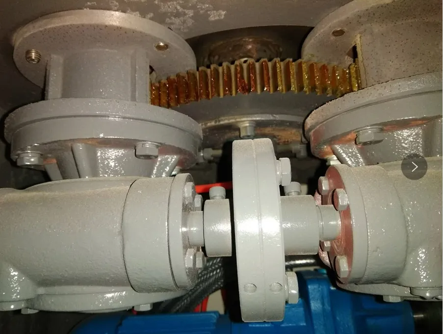 Double Worm Gear