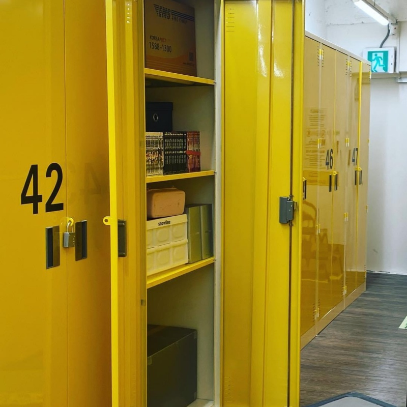High Quality Self Storage Lockerwith Customized Services on Hot Selling in Korea
