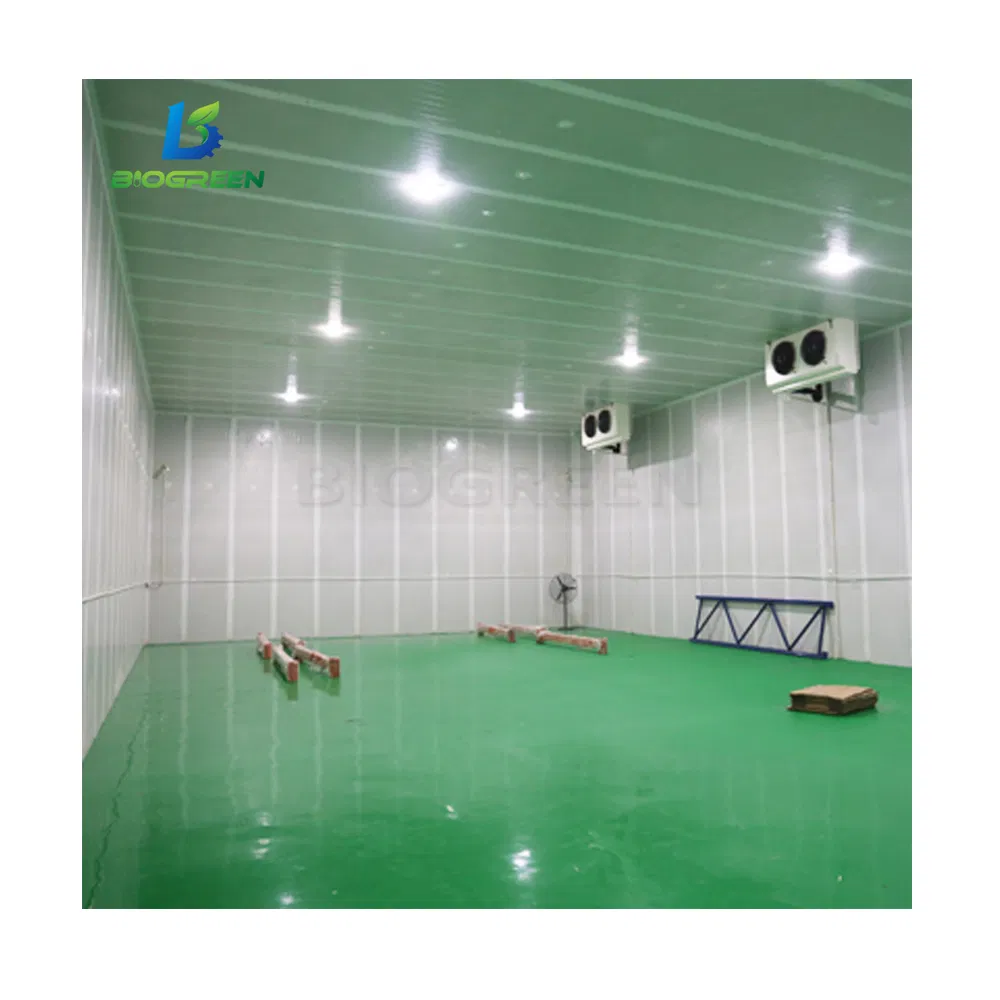 Cold Storage for Frozen Meat, Seafood, Vegetable and Fruits