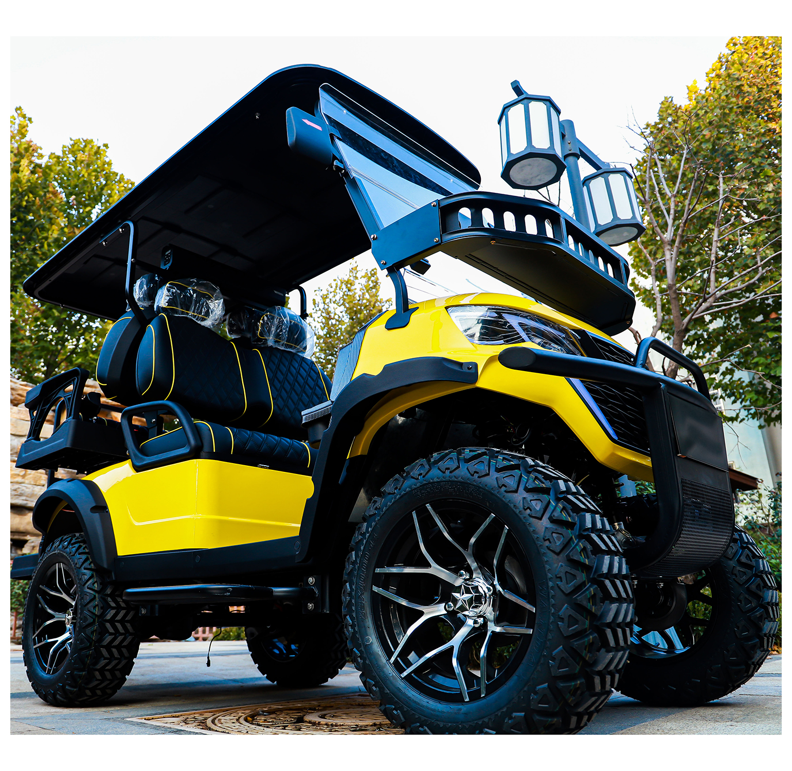 Luxury 2 4 6 Seater Lithium Golf Push Cart Electric Golf Cart